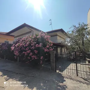 Ελέγξτε τη διαθεσιμότητα